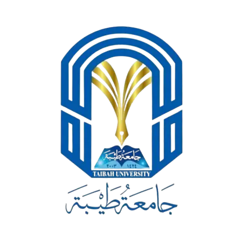 شريك 19